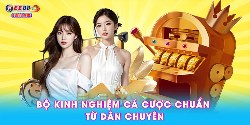 Bộ kinh nghiệm cá cược chuẩn từ dân chuyên