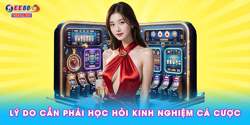 Lý do cần phải học hỏi kinh nghiệm cá cược