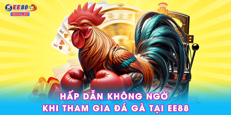 Hấp dẫn không ngờ khi tham gia đá gà tại EE88