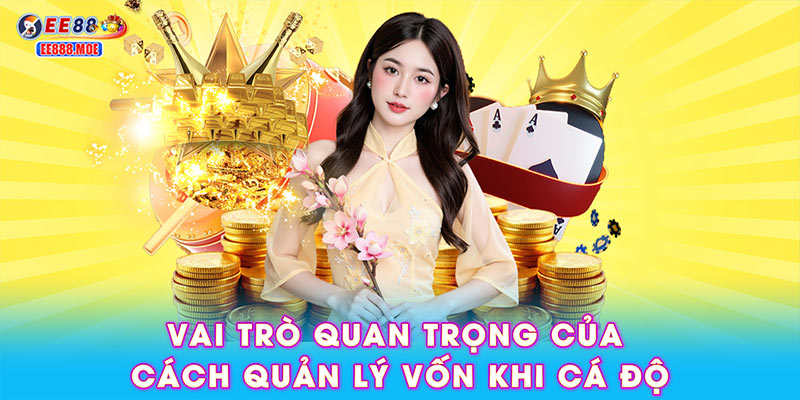 Vai trò quan trọng của cách quản lý vốn khi cá độ
